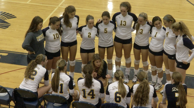 Haslett's Volleyball Season Ends at District Finals